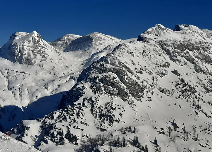 아파트 Grimming View I